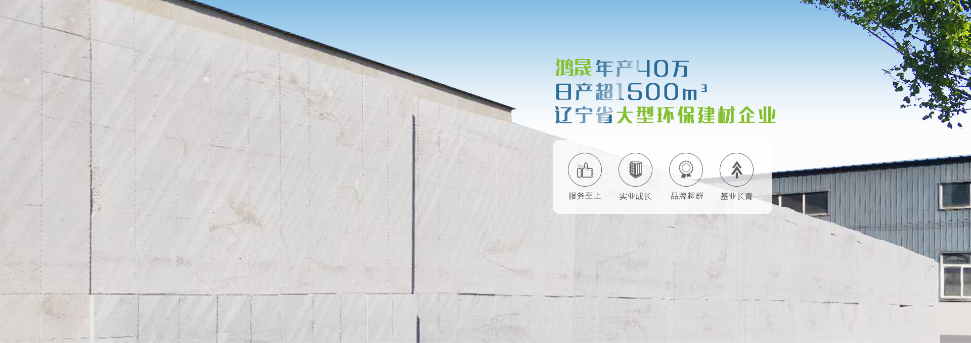 色多多网站入口